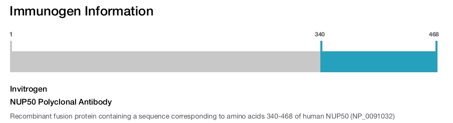 NUP50 Polyclonal Antibody