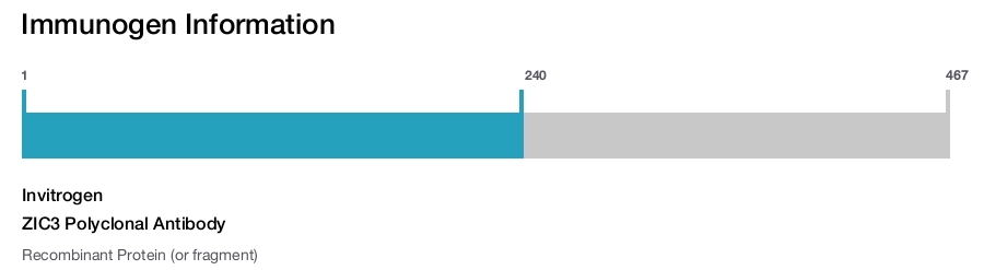 ZIC3 Polyclonal Antibody