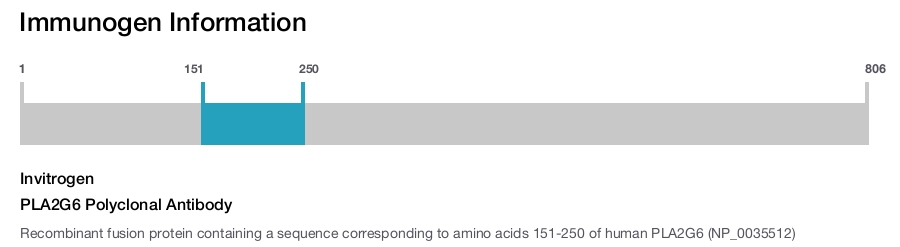 PLA2G6 Polyclonal Antibody