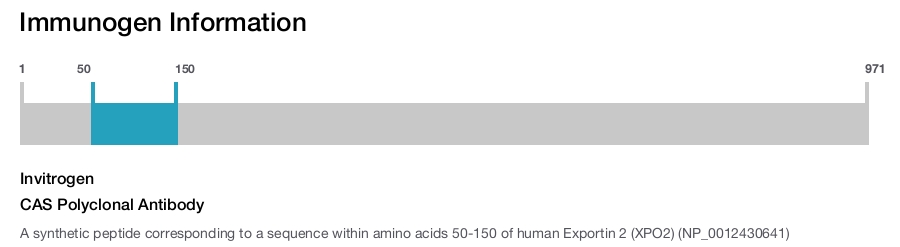 CAS Polyclonal Antibody
