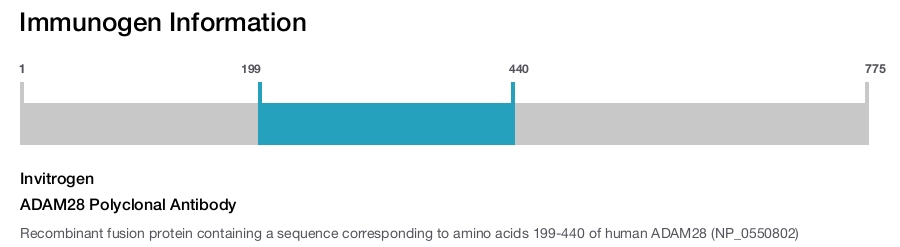 ADAM28 Polyclonal Antibody