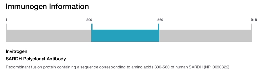 SARDH Polyclonal Antibody