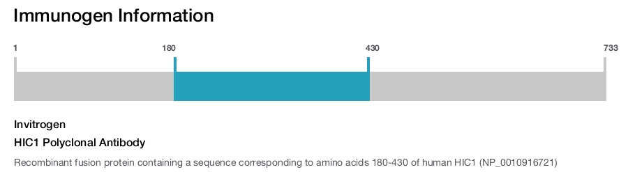 HIC1 Polyclonal Antibody