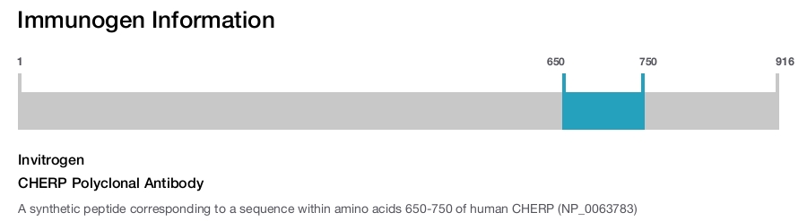 CHERP Polyclonal Antibody