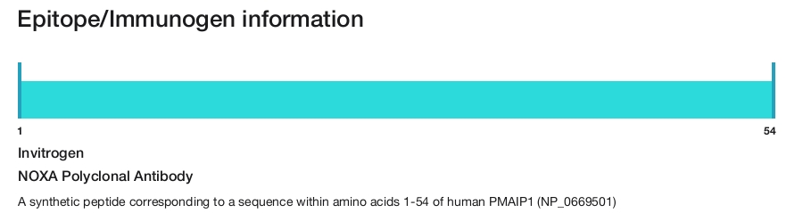 NOXA Polyclonal Antibody