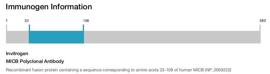 MICB Polyclonal Antibody