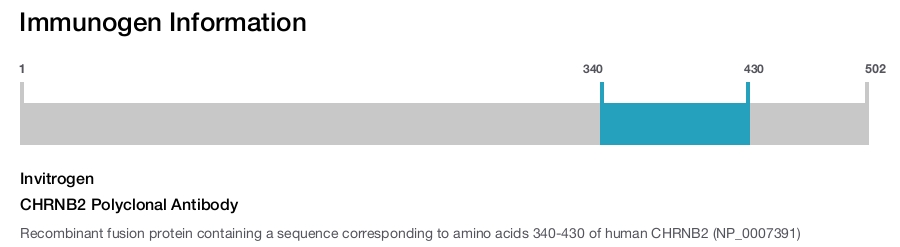 CHRNB2 Polyclonal Antibody