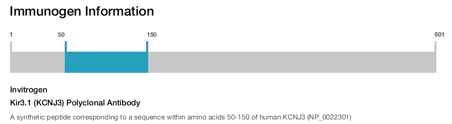 Kir3.1 (KCNJ3) Polyclonal Antibody