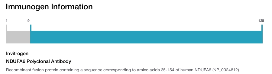 NDUFA6 Polyclonal Antibody
