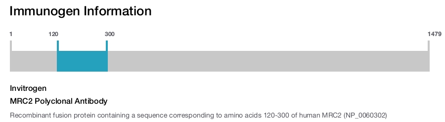 MRC2 Polyclonal Antibody
