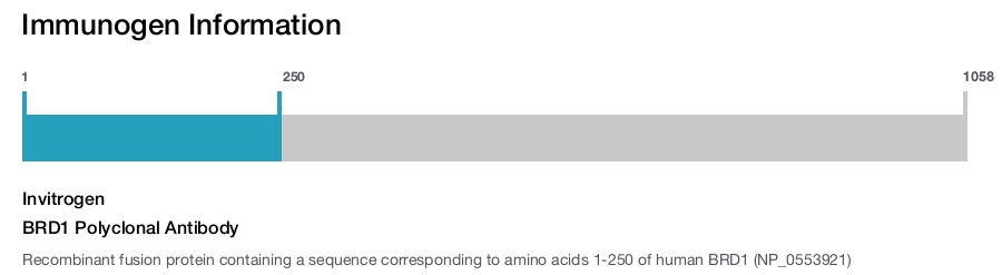 BRD1 Polyclonal Antibody