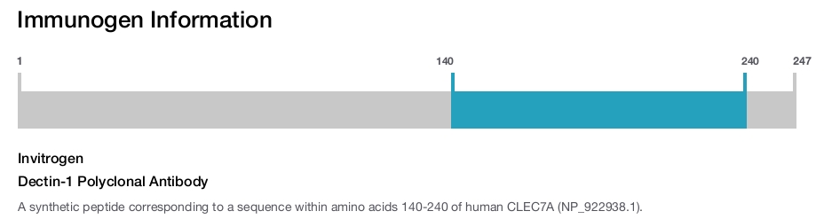 Dectin-1 Polyclonal Antibody