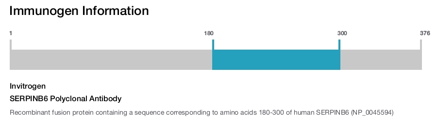SERPINB6 Polyclonal Antibody