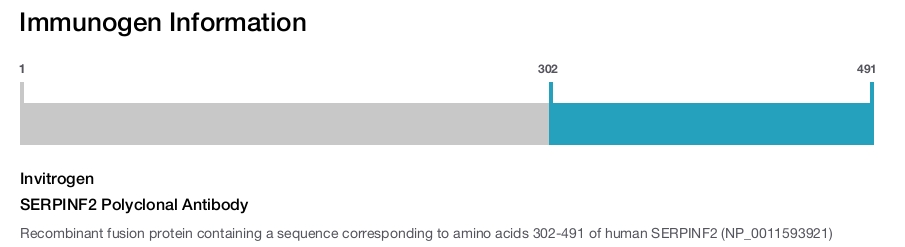 SERPINF2 Polyclonal Antibody
