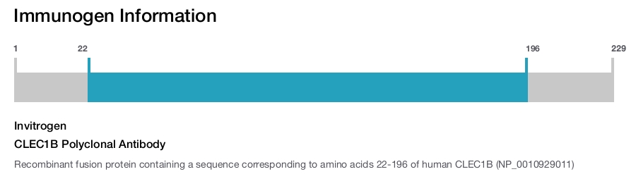 CLEC1B Polyclonal Antibody