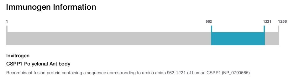 CSPP1 Polyclonal Antibody