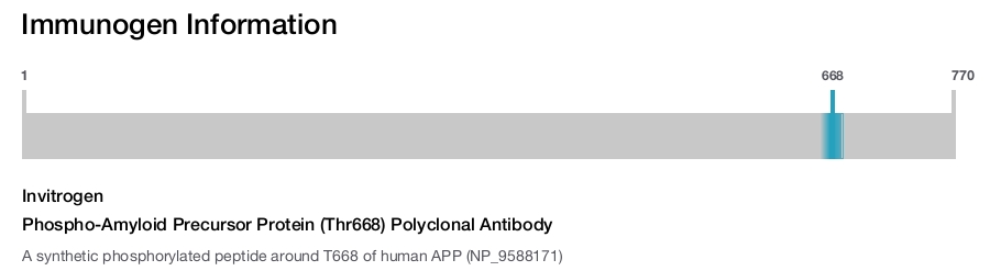 Phospho-Amyloid Precursor Protein (Thr668) Polyclonal Antibody