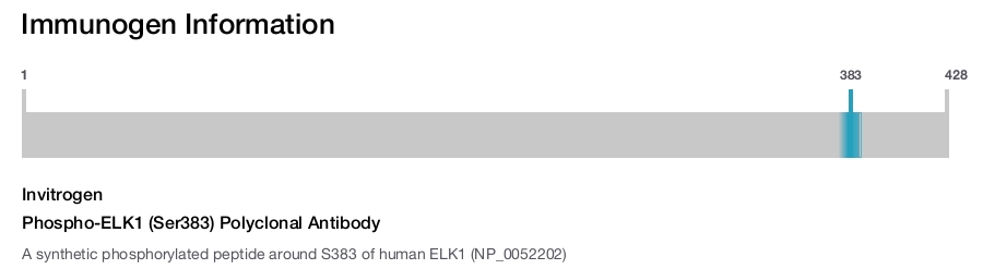 Phospho-ELK1 (Ser383) Polyclonal Antibody