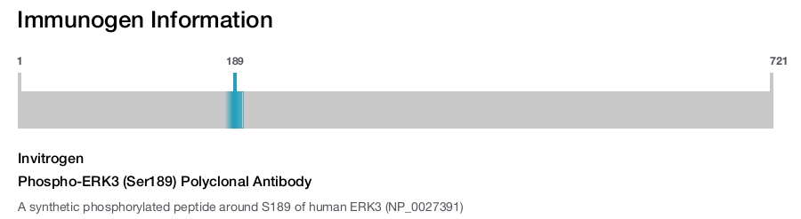 Phospho-ERK3 (Ser189) Polyclonal Antibody