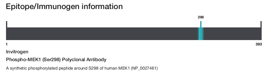 Phospho-MEK1 (Ser298) Polyclonal Antibody