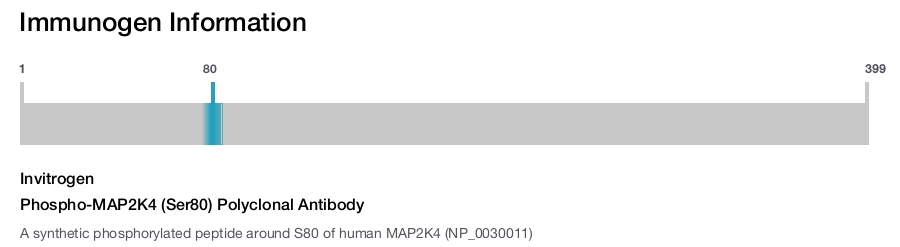 Phospho-MAP2K4 (Ser80) Polyclonal Antibody