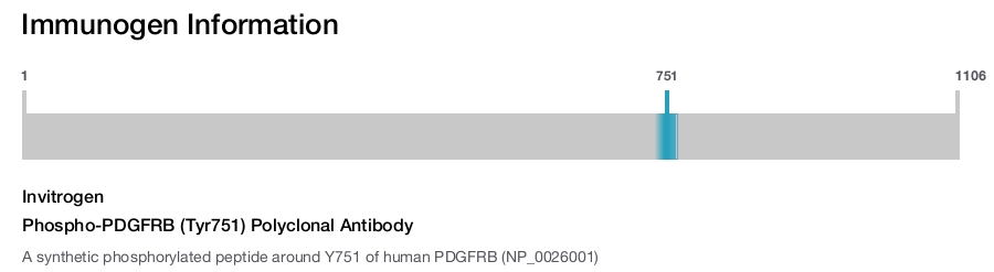 Phospho-PDGFRB (Tyr751) Polyclonal Antibody