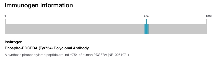 Phospho-PDGFRA (Tyr754) Polyclonal Antibody