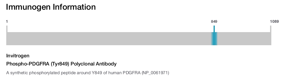 Phospho-PDGFRA (Tyr849) Polyclonal Antibody