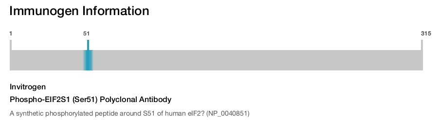 Phospho-EIF2S1 (Ser51) Polyclonal Antibody