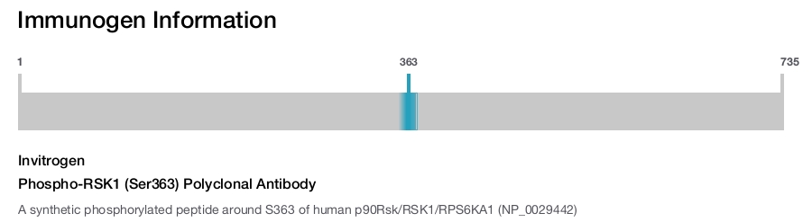 Phospho-RSK1 (Ser363) Polyclonal Antibody