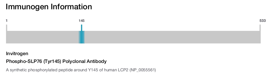 Phospho-SLP76 (Tyr145) Polyclonal Antibody