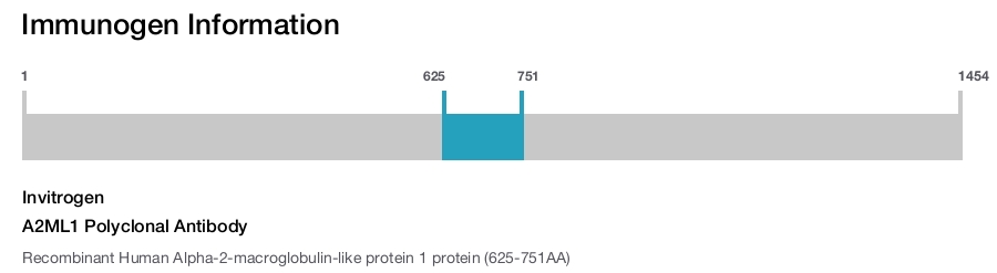 A2ML1 Polyclonal Antibody