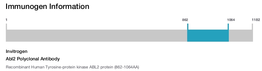Abl2 Polyclonal Antibody