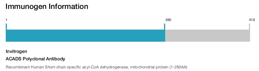 ACADS Polyclonal Antibody