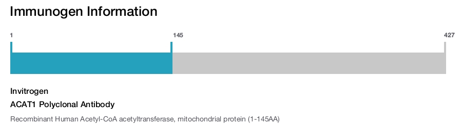 ACAT1 Polyclonal Antibody