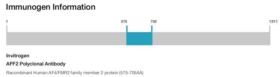 AFF2 Polyclonal Antibody