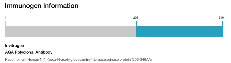 AGA Polyclonal Antibody