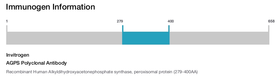 AGPS Polyclonal Antibody