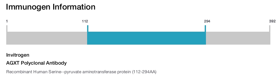 AGXT Polyclonal Antibody