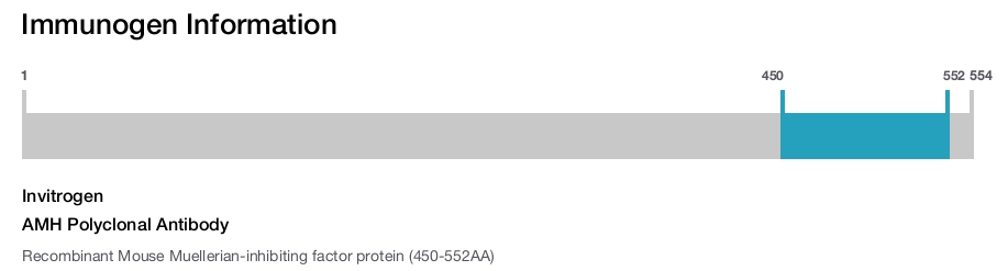 AMH Polyclonal Antibody