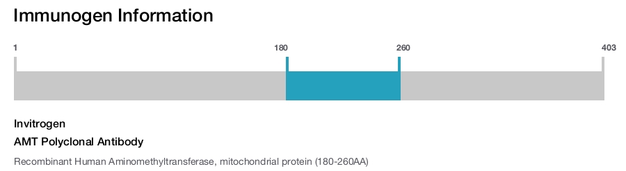 AMT Polyclonal Antibody