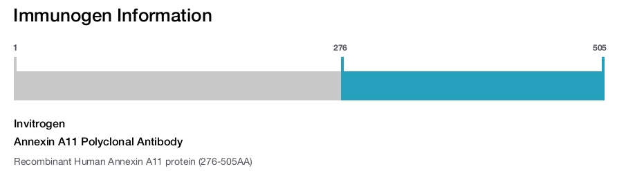 Annexin A11 Polyclonal Antibody