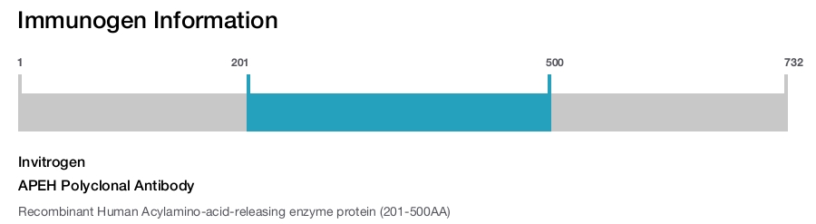 APEH Polyclonal Antibody