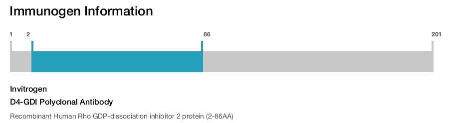 D4-GDI Polyclonal Antibody