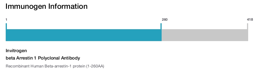 beta Arrestin 1 Polyclonal Antibody
