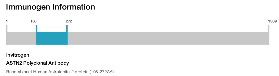 ASTN2 Polyclonal Antibody