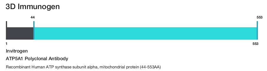 ATP5A1 Polyclonal Antibody