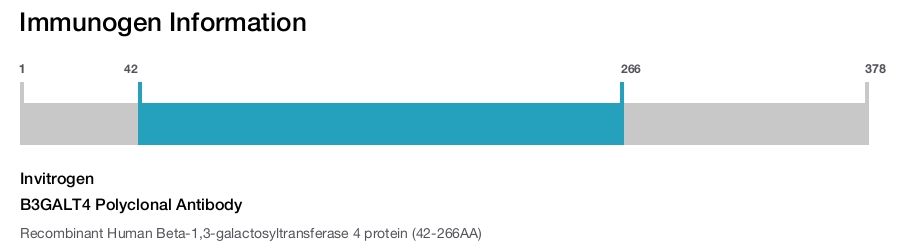 B3GALT4 Polyclonal Antibody