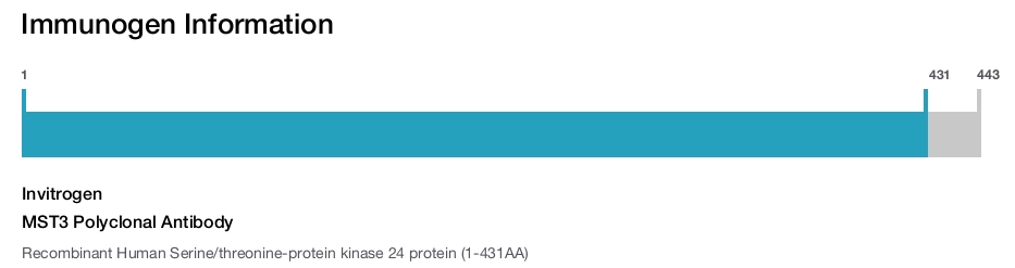 MST3 Polyclonal Antibody