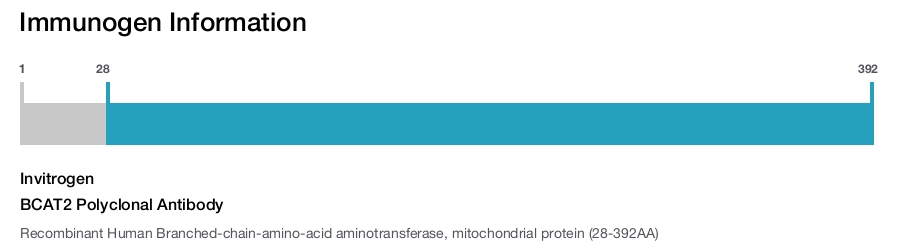 BCAT2 Polyclonal Antibody